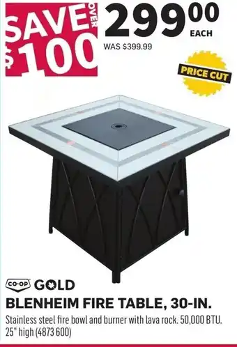 Co-op Blenheim fire table offer