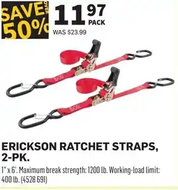 Co-op Erickson ratchet straps offer