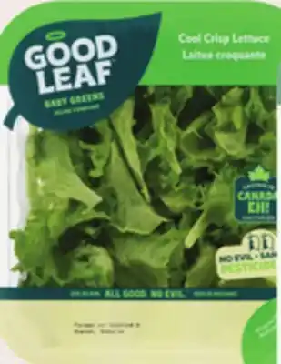 Giant Tiger 113 g GoodLeaf baby greens offer