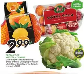 Safeway Gala or Spartan Apples offer