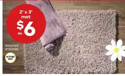 Giant Tiger 2' x 3' mat offer