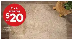 Giant Tiger 3' x 4' area rug offer