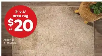 Giant Tiger 3' x 4' area rug offer