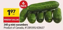 Giant Tiger mini cucumbers offer
