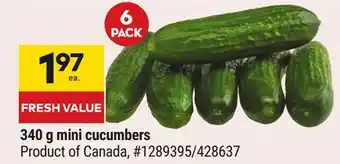 Giant Tiger mini cucumbers offer