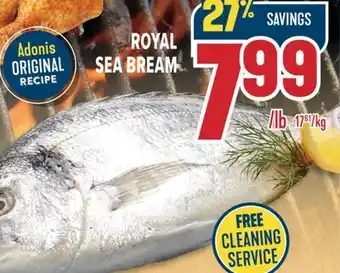 Marché Adonis ROYAL SEA BREAM offer