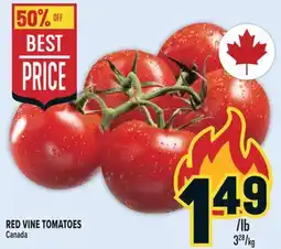 Marché Adonis RED VINE TOMATOES offer