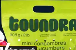 IGA SEEDLESS MINI CUCUMBERS offer