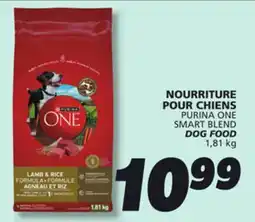 IGA PURINA ONE SMART BLEND DOG FOOD offer