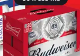 IGA BUDWEISER BEER offer