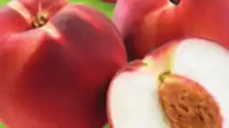 IGA WHITE NECTARINES OR PEACHES offer