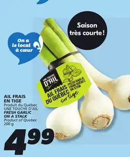 IGA FRESH GARLIC ON A STALK offer