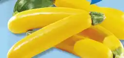 IGA YELLOW ZUCCHINIS offer