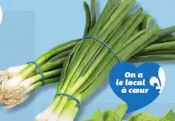 IGA GREEN ONIONS offer
