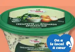 IGA FONTAINE SANTÉ DIP offer