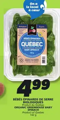 IGA ORGANIC GREENHOUSE BABY SPINACH offer