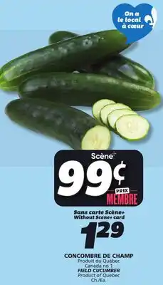 IGA FIELD CUCUMBER offer
