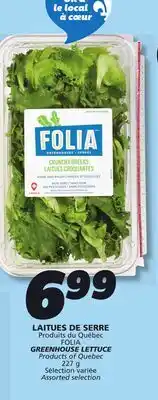 IGA FOLIA GREENHOUSE LETTUCE offer