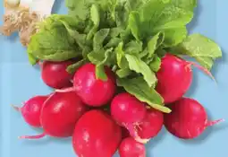 IGA RED LEAF RADISHES offer
