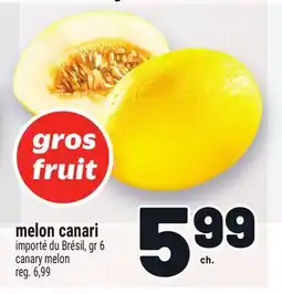 Metro MELON CANARI | CANARY MELON offer