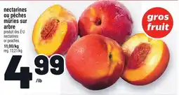 Metro NECTARINES OU PÊCHES MÛRIES SUR ARBRE | NECTARINES OR PEACHES offer