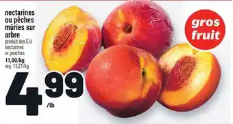 Metro NECTARINES OU PÊCHES MÛRIES SUR ARBRE | NECTARINES OR PEACHES offer