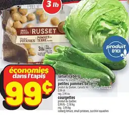 Metro LAITUE ICEBERG | COURGETTES offer