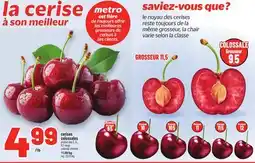 Metro CERISES COLOSSALES | COLOSSAL CHERRIES offer