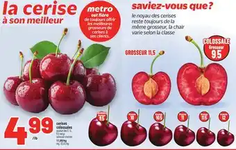 Metro CERISES COLOSSALES | COLOSSAL CHERRIES offer