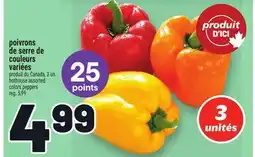Metro POIVRONS DE SERRE DE COULEURS VARIÉES | HOTHOUSE ASSORTED COLORS PEPPERS offer