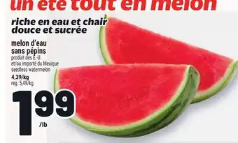 Metro MELON D'EAU SANS PÉPINS | SEEDLESS WATERMELON offer