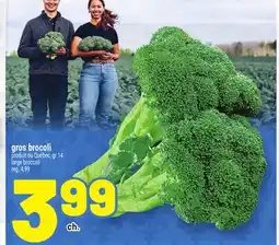 Metro GROS BROCOLI | LARGE BROCCOLI offer