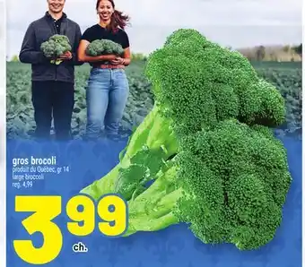Metro GROS BROCOLI | LARGE BROCCOLI offer