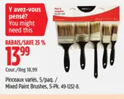 Canadian Tire Premier Mixed Paint Brushes offer