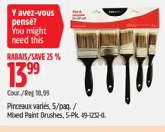 Canadian Tire Premier Mixed Paint Brushes offer