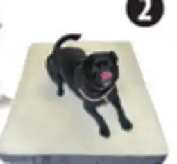 Canadian Tire Petco Memory Foam Dog Bed, 36 x 27˝. Grey offer