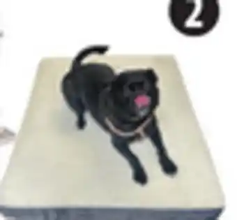 Canadian Tire Petco Memory Foam Dog Bed, 36 x 27˝. Grey offer