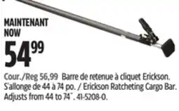 Canadian Tire Erickson Ratcheting Cargo Bar. Adjusts from 44 to 74 offer