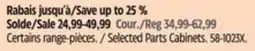 Canadian Tire Mastercraft Selected Parts Cabinet offer