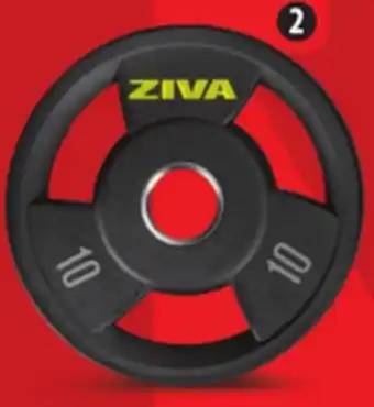 Canadian Tire Selected Ziva Olympic Grip Discs offer
