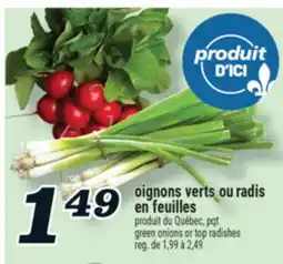 Marché Richelieu OIGNONS VERTS OU RADIS EN FEUILLES | GREEN ONIONS OR TOP RADISHES offer