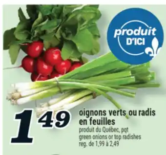 Marché Richelieu OIGNONS VERTS OU RADIS EN FEUILLES | GREEN ONIONS OR TOP RADISHES offer