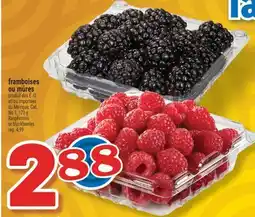 Marché Richelieu FRAMBOISES OU MÛRES | RASPBERRIES OR BLACKBERRIES offer
