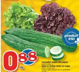 Marché Richelieu CONCOMBRE ANGLAIS SANS PÉPINS | SEEDLESS ENGLISH CUCUMBER offer