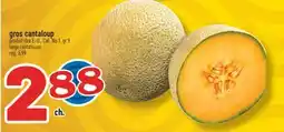 Marché Richelieu GROS CANTALOUP | LARGE CANTALOUPE offer
