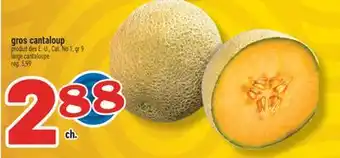 Marché Richelieu GROS CANTALOUP | LARGE CANTALOUPE offer