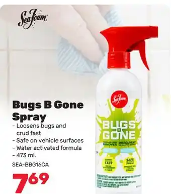 Bumper to Bumper SeaFoam Bugs B Gone Spray offer