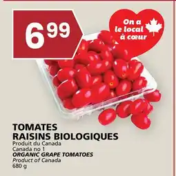 Rachelle-Bery Grocery ORGANIC GRAPE TOMATOES offer