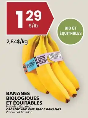 Rachelle-Bery Grocery ORGANIC AND FAIR TRADE BANANAS offer