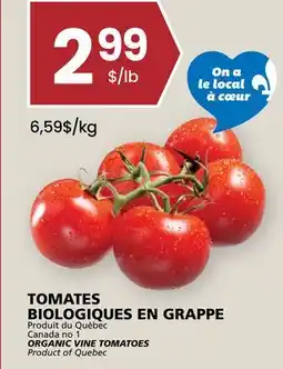 Rachelle-Bery Grocery ORGANIC VINE TOMATOES offer